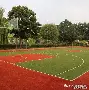 云贵雪豹队鏖战岭南暴熊队，棒球半决赛读秒绝平，转换速度占优。新人首发惊艳